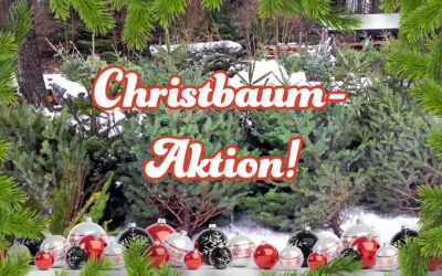 13. Dezember – Christbaumaktion!