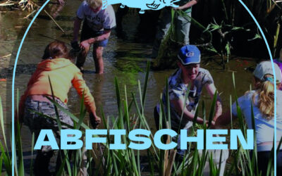 Einladung zum Abfischen!