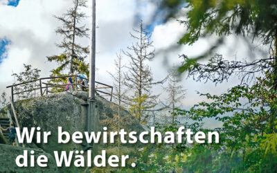 Unsere Wälder – nachhaltig und zukunftsorintiert!