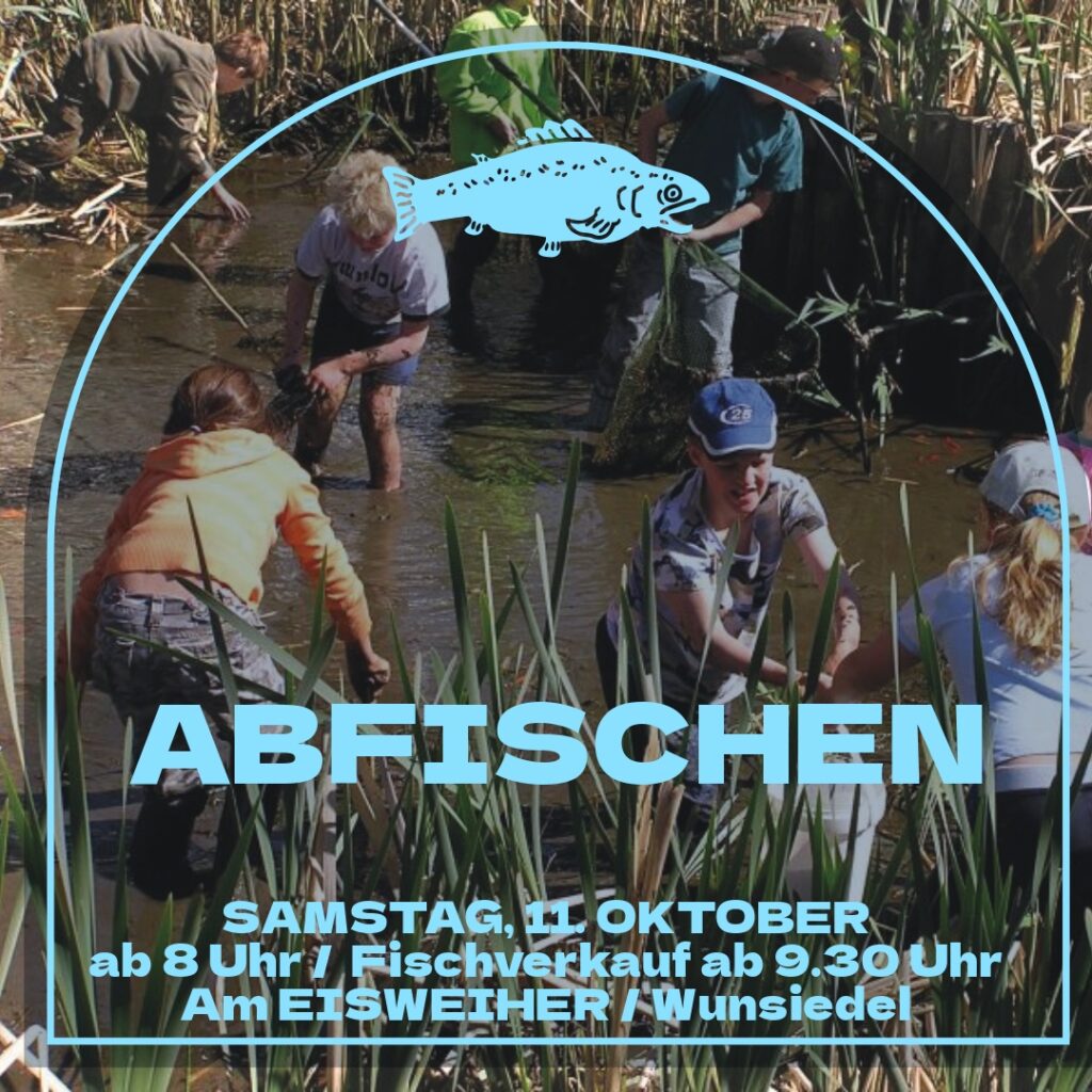 Abfischen Eisweiher 11. Okrober 2025