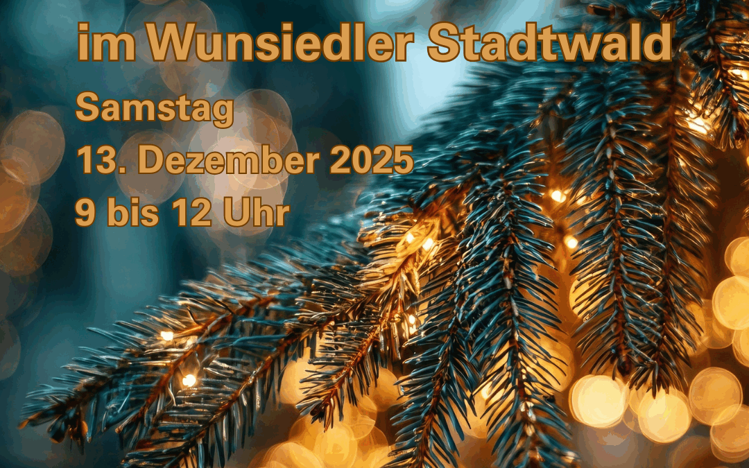 13. Dezember – Christbaumaktion!