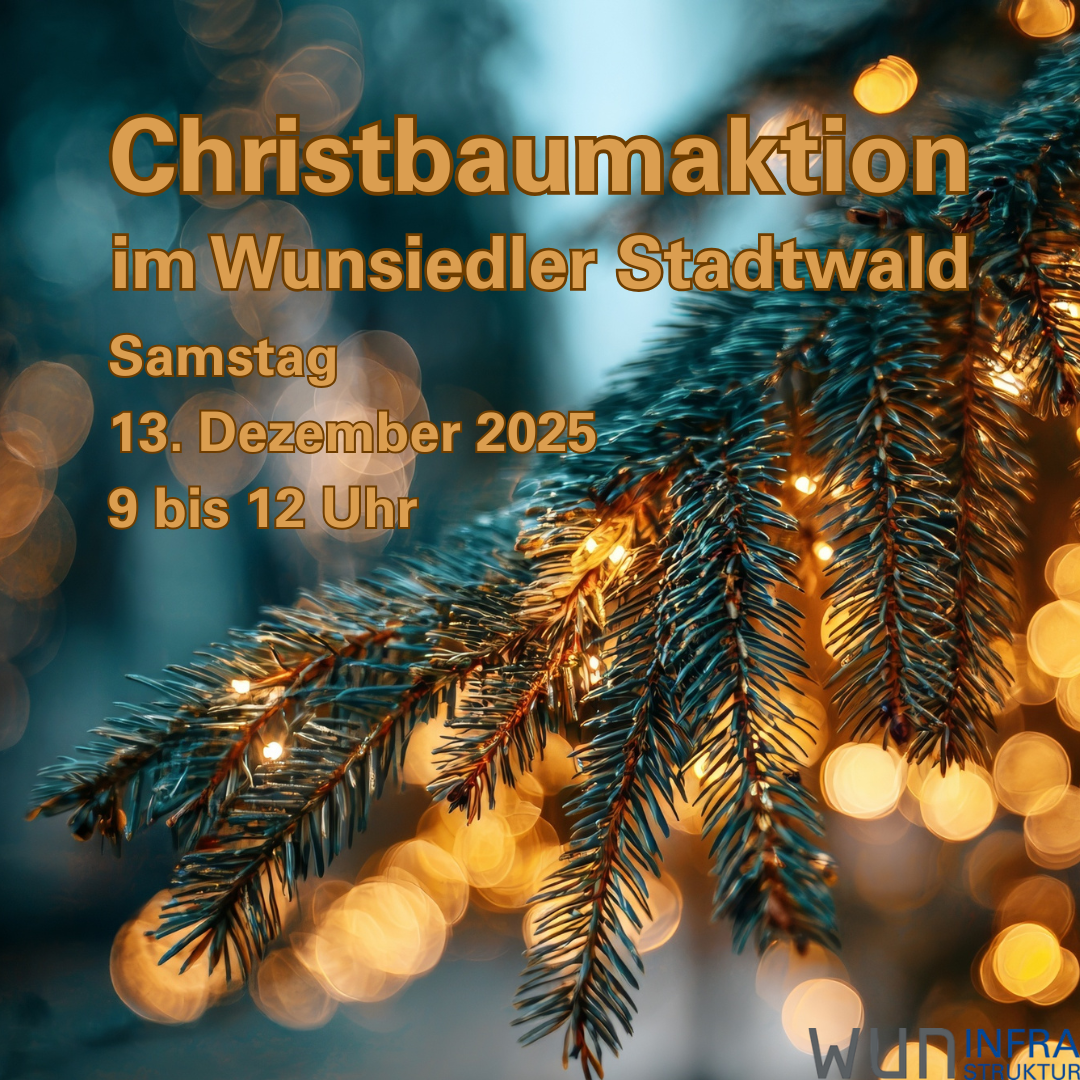Christbaumaktion am 13. Dezember im Stadtwald auf der Luisenburg an der Pflanzgartenhütten