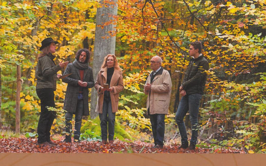 FriedWald-Infotag am 11. Oktober um 14 Uhr